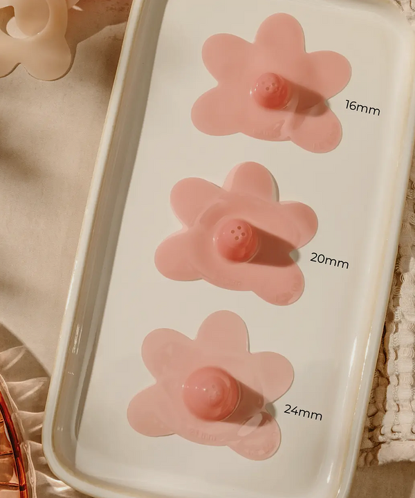 Nipple Shield System (Blush)
