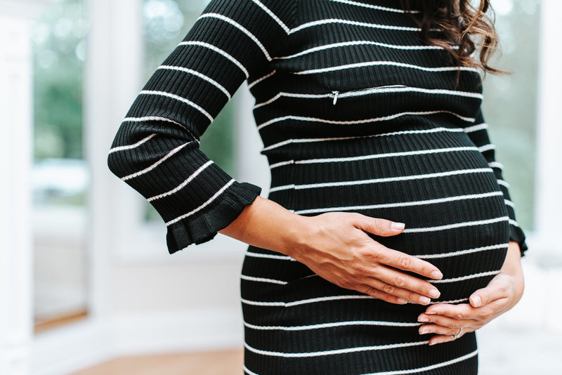 The Taylor Nursing Maternity Dress